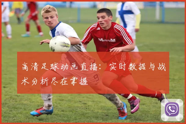 高清足球动画直播:实时数据与战术分析尽在掌握